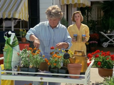 How do you always grow
such beautiful flowers? - Dallas