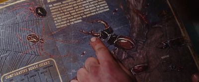 How do you explain that this used to be so small - City of Ember