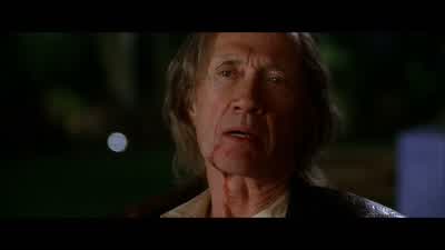 How do I lookYou look ready - Kill Bill: Vol  2