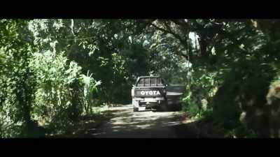 How do you know Mayor? - Virgin Forest