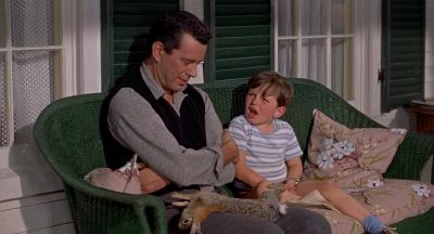 How do rabbits get born - The Trouble with Harry