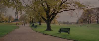 How do you say rathole in British - The Wolf of Wall Street