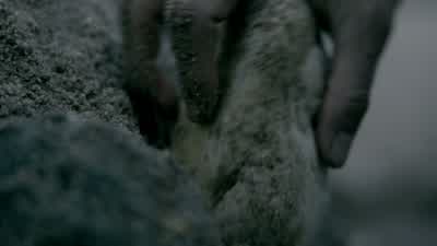 How do they get into this city? - Vikings