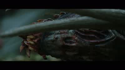How do you know all this? - Predators