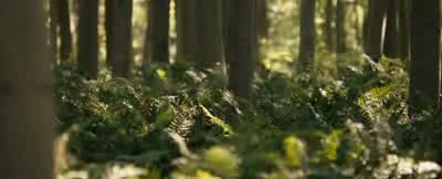 How do you know so much about us? - The Chronicles of Narnia: Prince Caspian