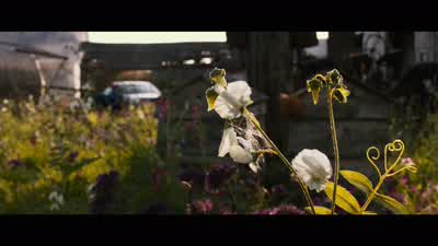 How do you know this guy? - Jupiter Ascending