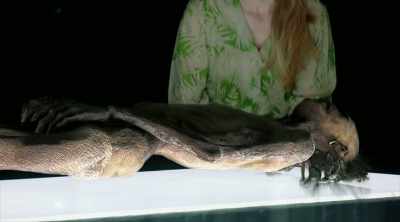 How does this strange artifact - Strangest Things