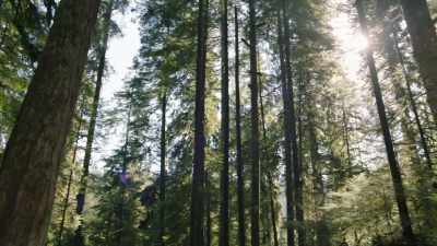 How exactly is their
knowing different from ours? - Cosmos: Possible Worlds