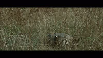 How far can you see? - Unforgiven