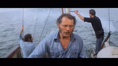 How far do we have to go? - Jaws