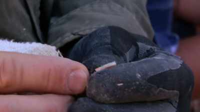 How good's that? (LAUGHS) - Outback Opal Hunters