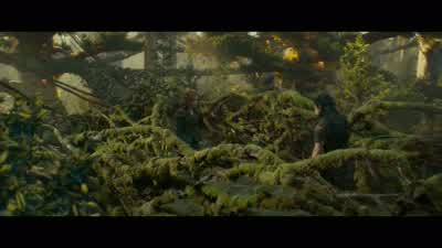 - How high is this place? - Dungeons & Dragons: Honor Among Thieves