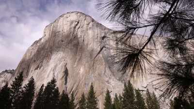 'How high up
are you guys right now?' - The Dawn Wall