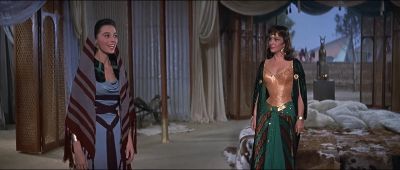 How interesting your encampment is - Solomon and Sheba