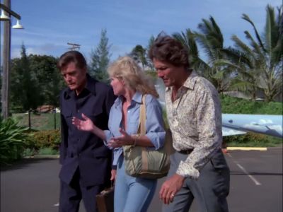 HOW IS TRUCK? - Hawaii Five-O