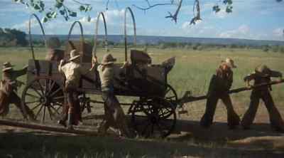 How long are they gonna keep that up? - The Culpepper Cattle Co