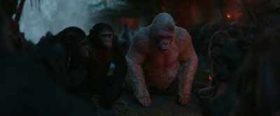 -How long can we wait, Lake?
Soldiers getting closer! -Winter... - War for the Planet of the Apes