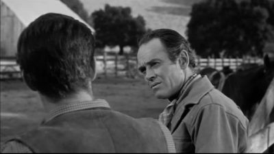 How long you had that badge - The Tin Star