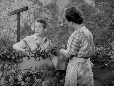 How long's he going
to keep that incinerator burning? - Monsieur Verdoux