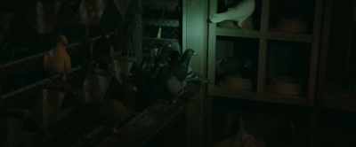 How many birds are in here? - Little Wing