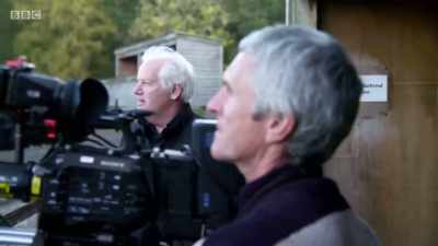 How many do you think are here,
Chris, at the minute? - Wales: Land of the Wild