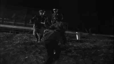 - How many in there? - They Drive by Night