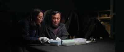 How many pieces have been unearthed? - Mysteries of the Terracotta Warriors