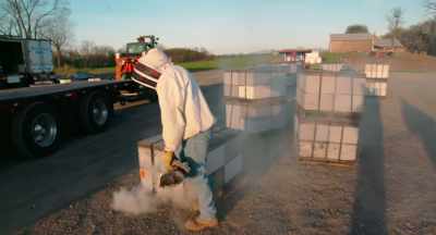 -How many you putting on?
-46 pallets. - The Pollinators