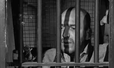 How many, Stroud? - Birdman of Alcatraz