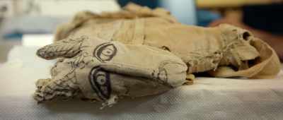 How they might have been breeding them
or keeping them tame, - Secrets of the Saqqara Tomb
