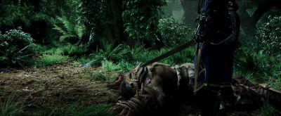 How much do you
love your master? - Warcraft