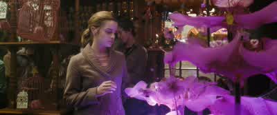 How much for this? - Harry Potter and the Half Blood Prince