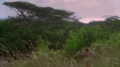 How much further to their camp? - Lost
