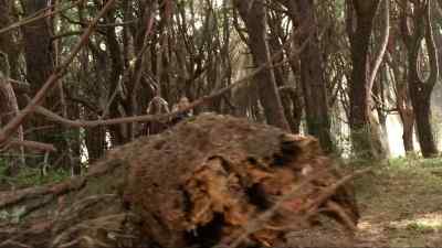 How much further
to Eritrane? - Legend of the Seeker