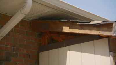 How much room
do I have up top? - Holmes Family Rescue