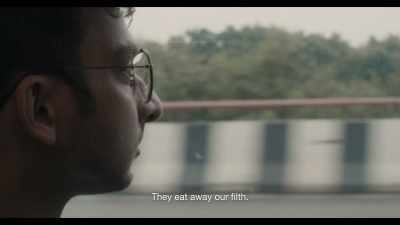 How much waste do they eat per day? - All That Breathes