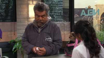 - How much would a dog need
that weighed, like, 200 pounds? - Lopez vs Lopez
