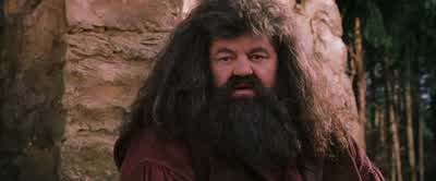 How often do you come acrossa three-headed dog? - Harry Potter and the Sorcerer's Stone