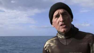 How they relate to each other,
their dialects, all very specialized. - Secrets of the Whales