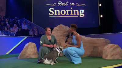 How special is it for you
to be able to show off - 2022 American Rescue Dog Show