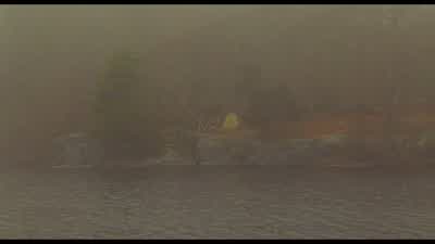 - How strong a swimmer are you? - Moonrise Kingdom