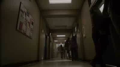 - How stupid are we to be doing this? - Teen Wolf