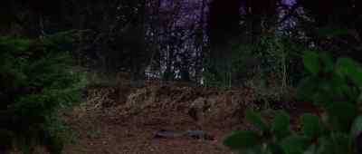 How the hell did he get here? - Force 10 from Navarone