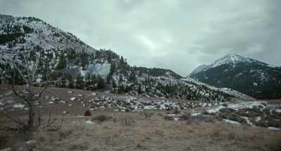 How turns the glass around - Organ Trail
