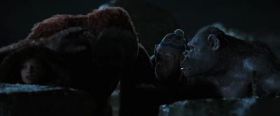 How will we get in - War for the Planet of the Apes