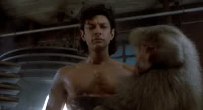 How you doing? - The Fly