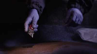 Howard: FINALLY,
AFTER ANALYZING THE HAIR SAMPLES - Casey Anthony: An American Murder Mystery