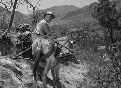Howard. Howard. Howard. - The Treasure of the Sierra Madre