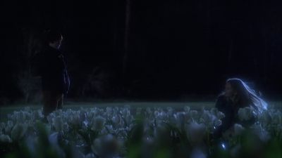 How'd you find me? - Fringe