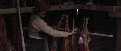 How'd you find this place? - Sommersby